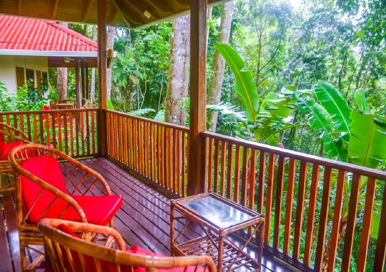 Villas En El Bosque Ojochal Bagian luar foto